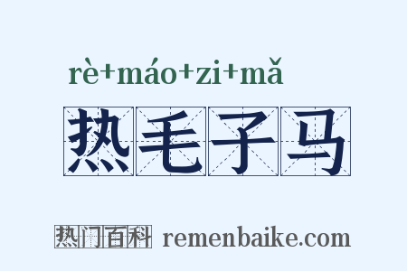 热毛子马是什么意思的图片